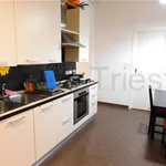 Rent 2 bedroom apartment of 72 m² in Trieste