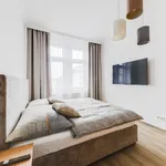 Rent 1 bedroom apartment of 42 m² in Prague