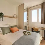 Rent 4 bedroom apartment in Madrid