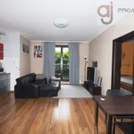 Rent 2 bedroom apartment of 45 m² in Łódź