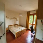 Rent 2 bedroom apartment of 60 m² in Siena