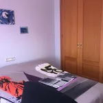 Bright room with double bed and own bathroom well connected to the city center of Alicante