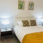 Alugar 1 quarto apartamento de 50 m² em Funchal