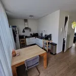 Huur 1 slaapkamer appartement van 52 m² in Haarlem