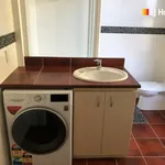 Rent 1 bedroom apartment in Dunedin