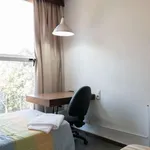 Rent 1 bedroom apartment in madrid