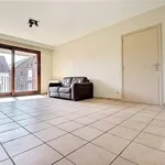 Rent 1 bedroom apartment in Perwez