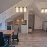 Rent 2 bedroom apartment of 55 m² in Nowy Sącz