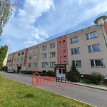 Rent 4 bedroom apartment of 75 m² in Brno