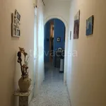 Rent 3 bedroom apartment of 80 m² in Somma Vesuviana