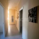 Rent 4 bedroom apartment of 85 m² in Fossacesia