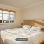 Rent 4 bedroom house in East Of England