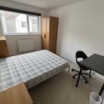 Rent 4 bedroom flat in Wales