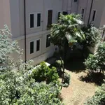 Rent 2 bedroom apartment in rome