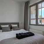 Rent 1 bedroom apartment in Antwerpen