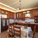 Rent 3 bedroom apartment of 80 m² in Bagheria