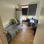 Kamer van 8 m² in Arnhem