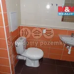 Pronajměte si 2 ložnic/e byt o rozloze 50 m² v Beroun