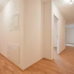 Rent 1 bedroom apartment of 77 m² in Wien