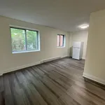  appartement avec 1 chambre(s) en location à Montreal