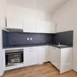 Rent 1 bedroom apartment of 31 m² in Pilsen