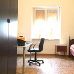 Rent 3 bedroom apartment of 80 m² in torino