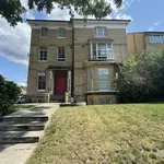 Rent 1 bedroom flat in London