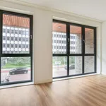 Rent 2 bedroom apartment of 75 m² in Amsterdam