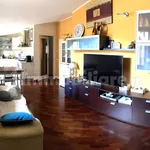 Rent 3 bedroom apartment of 60 m² in Teramo