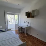 Rent 3 bedroom apartment in Lisbon