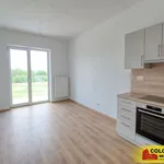 Pronajměte si 1 ložnic/e byt o rozloze 25 m² v Znojmo