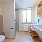 Rent 3 bedroom apartment of 110 m² in Prague