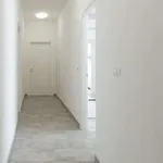 Rent 1 bedroom apartment of 60 m² in bologna