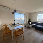 Apartment viale Ceccarini 60, Centro, Riccione