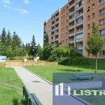 Rent 2 bedroom apartment of 50 m² in Třinec