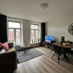 Rent 2 bedroom apartment of 37 m² in Schildersbuurt