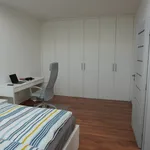 Rent 1 bedroom apartment of 90 m² in Brno