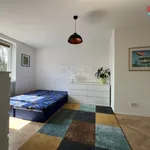 Rent 3 bedroom apartment of 60 m² in Praha