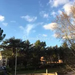 Rent 2 bedroom apartment of 55 m² in Rome