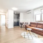 Rent 2 bedroom apartment of 59 m² in Zagreb