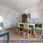 Rent 1 bedroom apartment of 48 m² in Milano