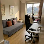 Rent 2 bedroom apartment in Leuven