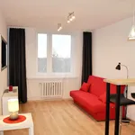 Rent 2 bedroom apartment of 40 m² in Chorzów