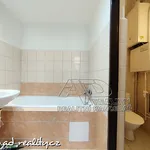 Rent 3 bedroom apartment of 70 m² in České Budějovice