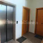 Rent 3 bedroom apartment of 60 m² in Pesaro