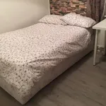 Rent 8 bedroom house in Dublin