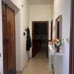 Affitto 3 camera appartamento di 65 m² in Frosinone