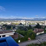 Rent 4 bedroom house of 109 m² in Vétraz-Monthoux