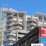 Rent 1 bedroom apartment in Wellington