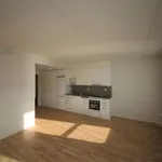 Vuokraa 1 makuuhuoneen asunto, 29 m² paikassa Olari,